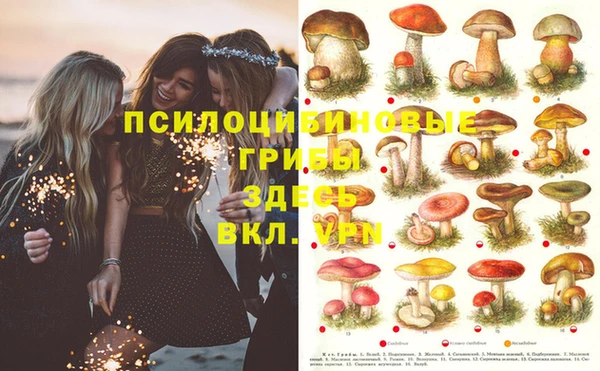 тгк Беломорск