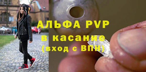 ECSTASY Белокуриха